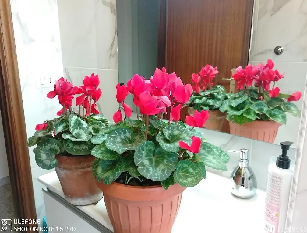 Casa D Arte Mary Apartment Rome